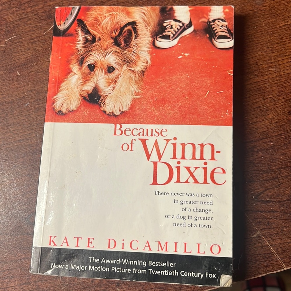 Because of Winn Dixie